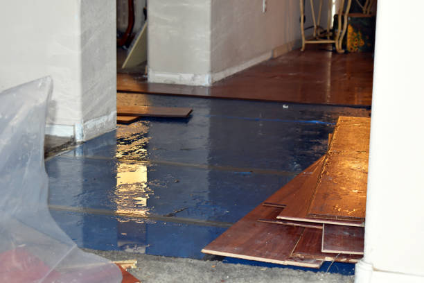 Professional Emergency Water Damage Restoration technician working in Jackson Center, OH
